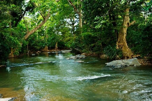 Menik Ganga: The Jungle River